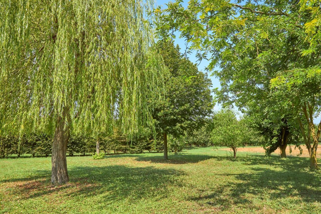 Agriturismo Forzello Ariano nel Polesine Exteriör bild